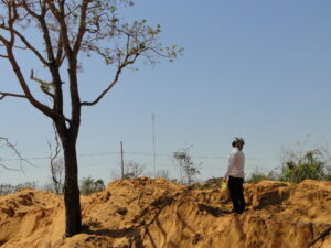 Dnit acompanha supressão de árvores em obra do Contorno Rodoviário de Barra do Garças