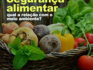Segurança alimentar: qual a relação com o meio ambiente?