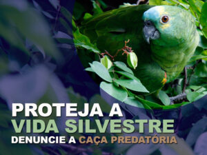 Denuncie a caça predatória