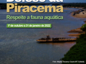 Defeso da Piracema: respeite a fauna aquática