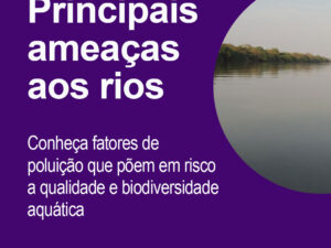 Principais ameaças aos rios: conheça fatores de poluição que põem em risco a qualidade e biodiversidade aquática