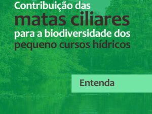 Contribuições das matas ciliares para a biodiversidade dos pequenos cursos hídricos