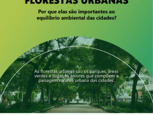 Florestas urbanas: por que elas são importantes ao equilíbrio ambiental das cidades?
