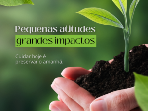 Pequenas atitudes, grandes impactos!