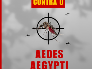 Prevenção ao Aedes aegypti