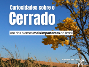 Curiosidades sobre o Cerrado