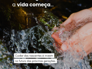 Onde a água nasce, a vida começa