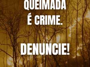 Queimada é crime. Denuncie!